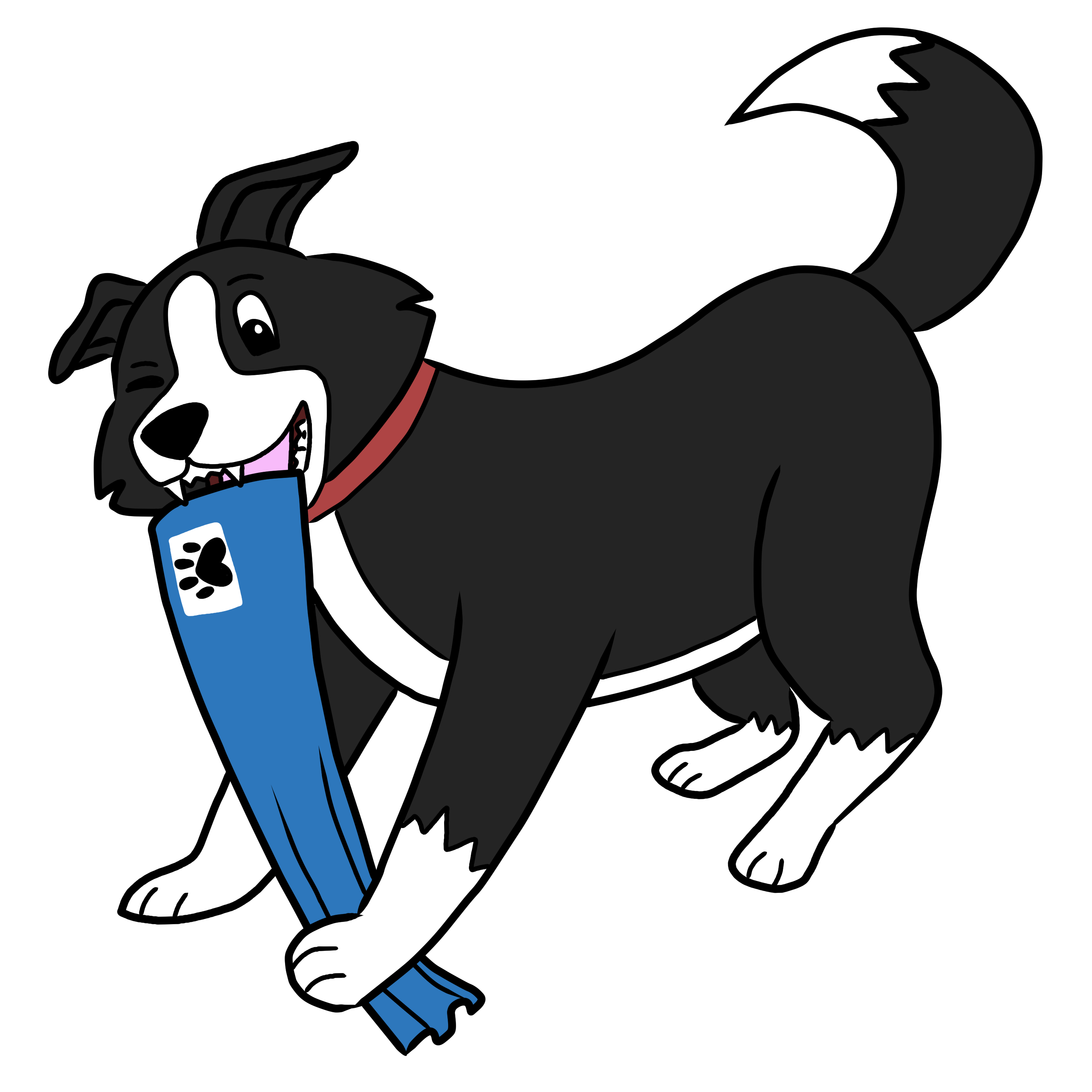 Dre the dog with his blue Fleamail envelope